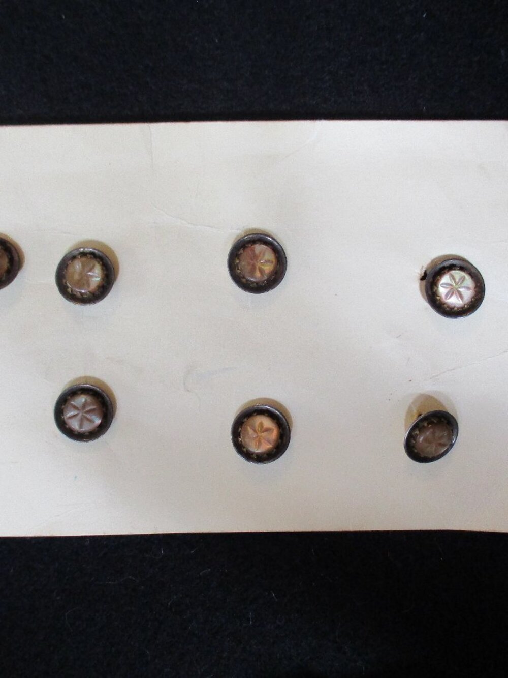 Set of 7 Antique / vintage New Old stock Buttons 6 leaf plant mother of pearl